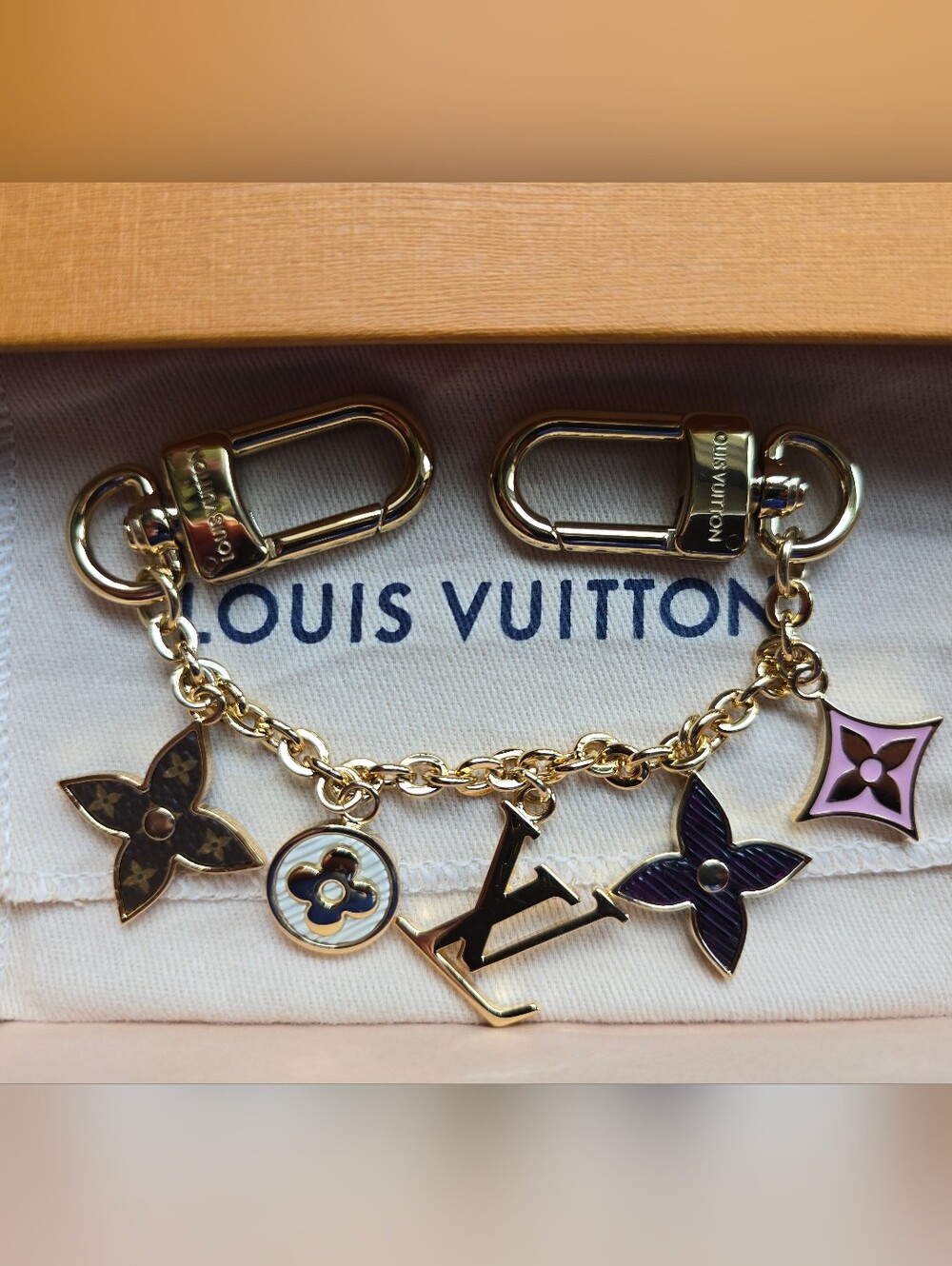 Louis Vuitton Spring Street Chain Bag Charm